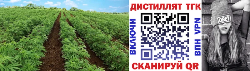 продажа наркотиков  Щёкино  ТГК Wax 