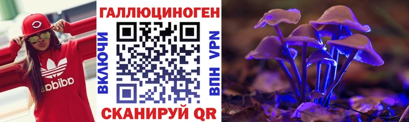 купить  сайты  Щёкино  OMG сайт  Псилоцибиновые грибы мицелий 